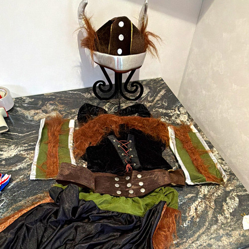 Viking fancy dress - viking, costume