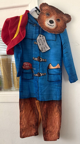 Paddington costume