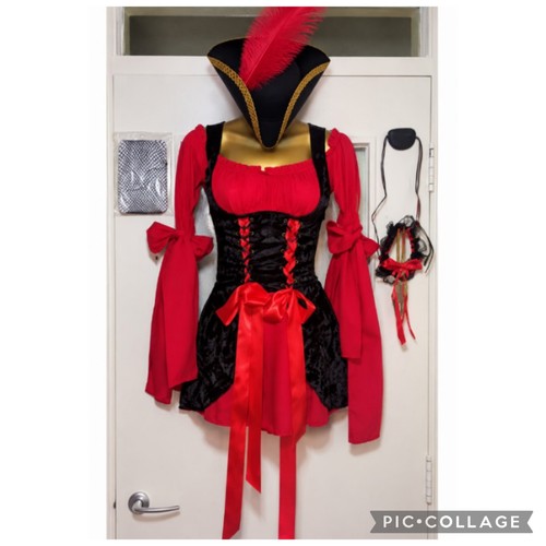 Leg avenue womens adult pirate - womens,