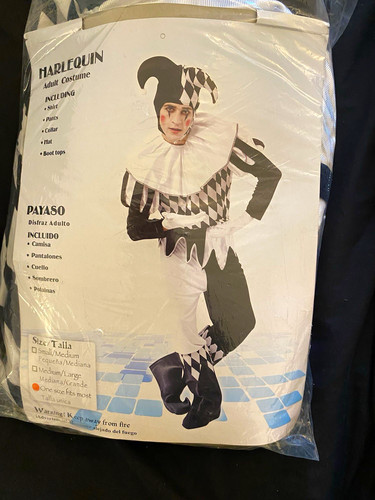 Adult harlequin jester clown - jester,