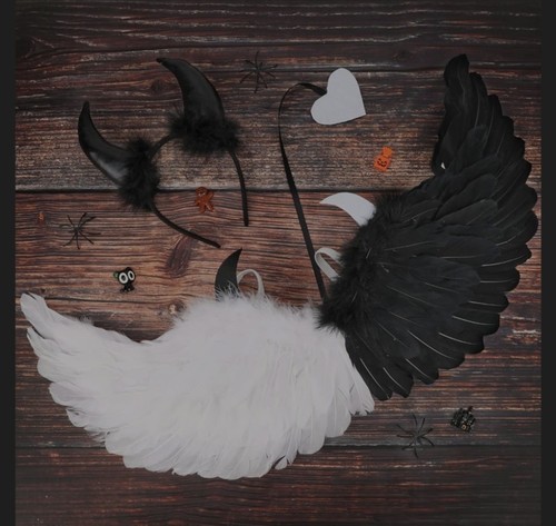 Devil angel fancy dress - devil-angel,